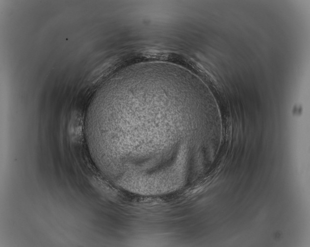 X0000090601154200707311155