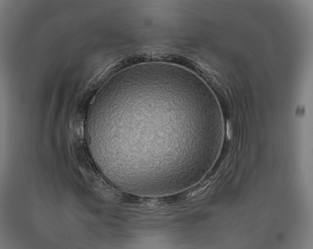 X0000090601155200707311155