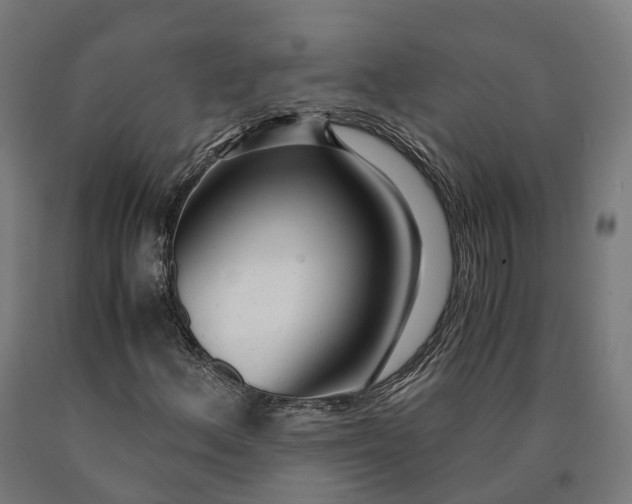 X0000090601156200707311155