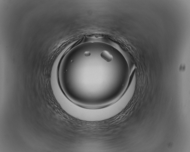 X0000090601157200707311155