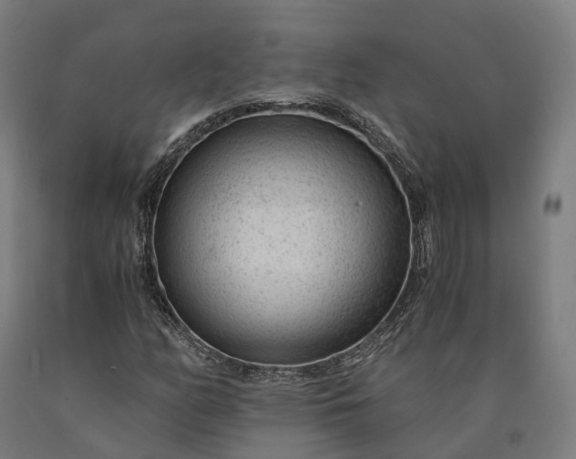 X0000090601158200707311155