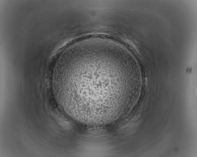 X0000090601159200707311155