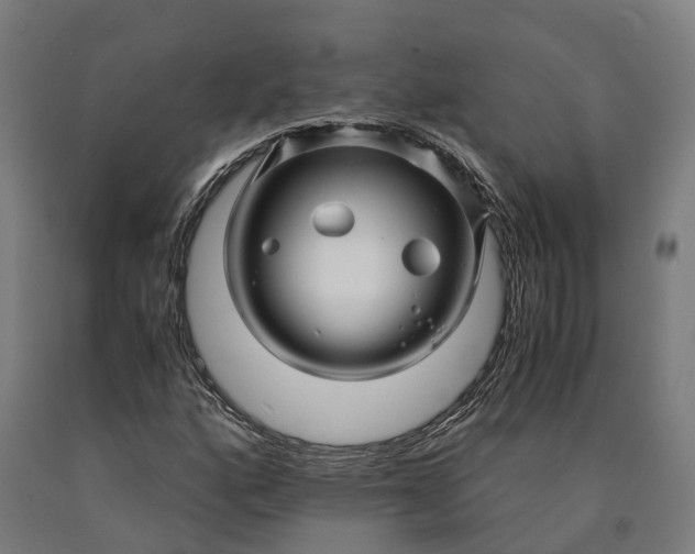 X0000090601160200707311155