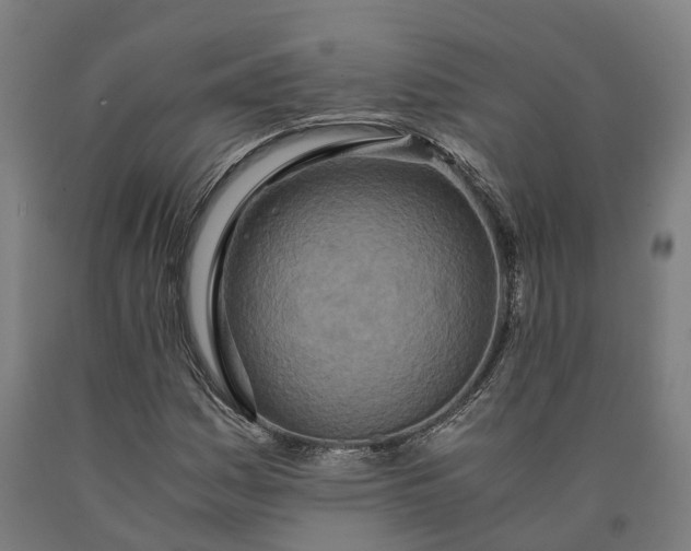 X0000090601161200707311155