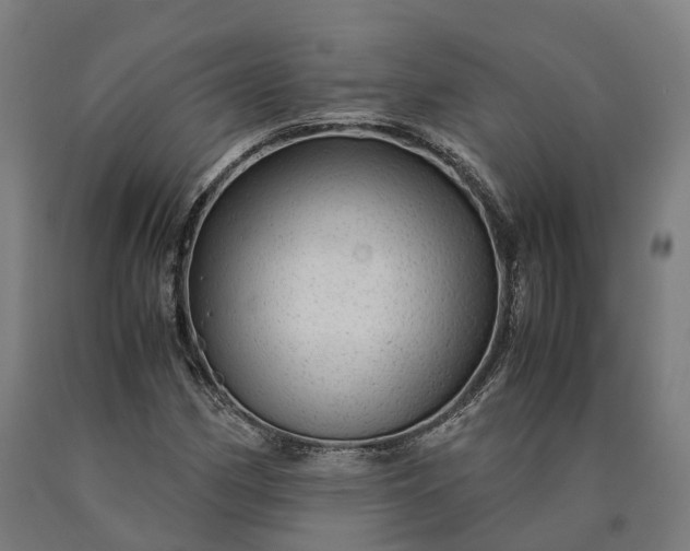 X0000090601162200707311155