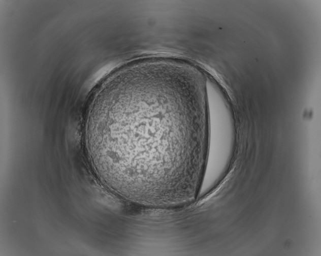 X0000090601163200707311155