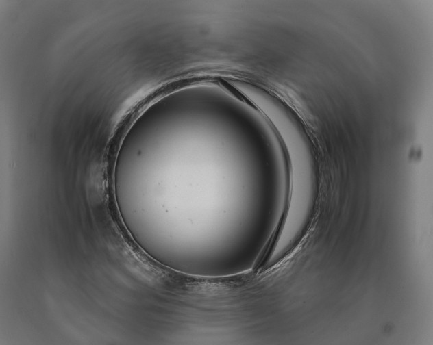 X0000090601164200707311155