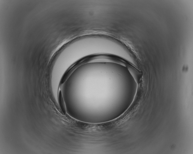 X0000090601165200707311155