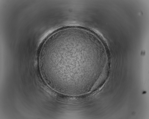 X0000090601167200707311155