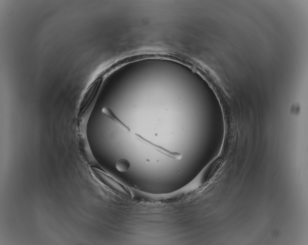 X0000090601168200707311155