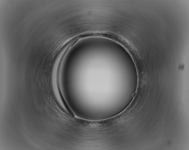 X0000090601169200707311155