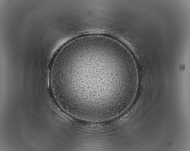 X0000090601171200707311155