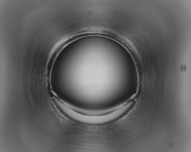 X0000090601172200707311155