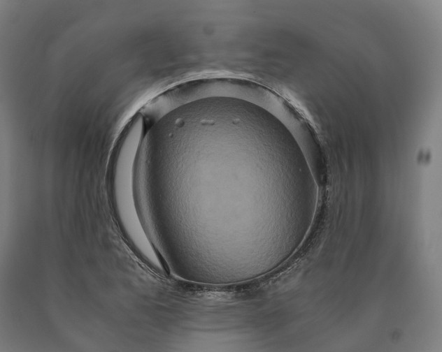 X0000090601173200707311155