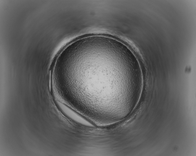 X0000090601175200707311155