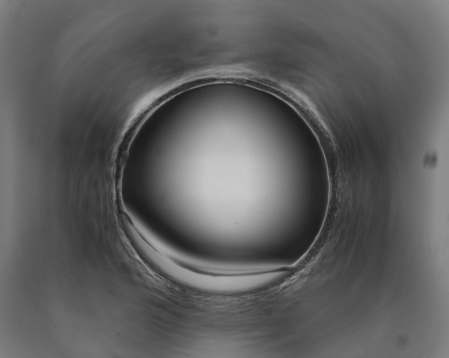 X0000090601176200707311155