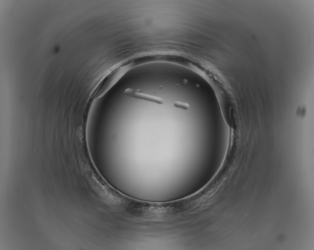 X0000090601177200707311155