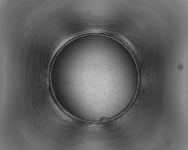 X0000090601178200707311155