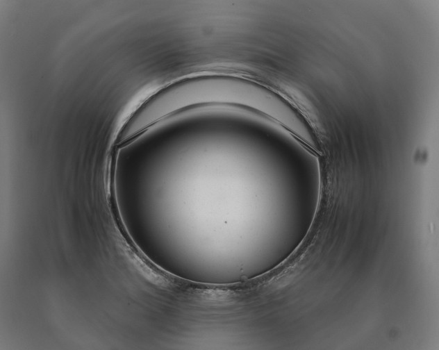 X0000090601180200707311155