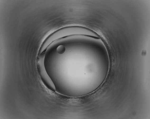 X0000090601181200707311155