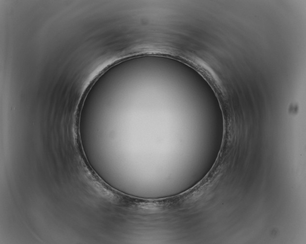 X0000090601182200707311155