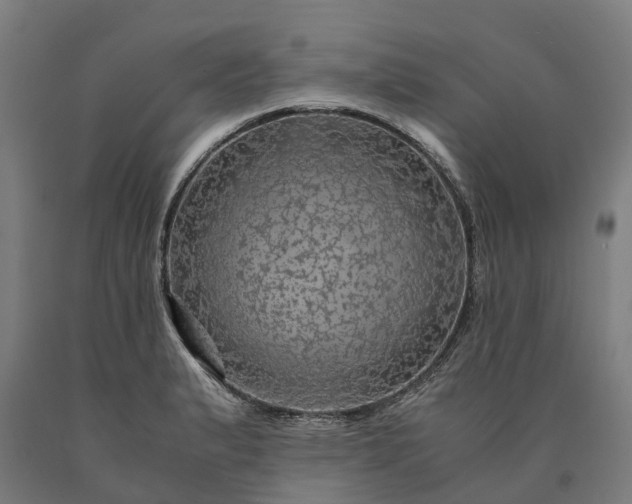 X0000090601183200707311155