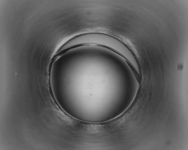 X0000090601184200707311155