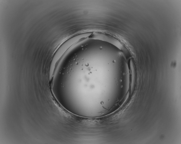 X0000090601185200707311155