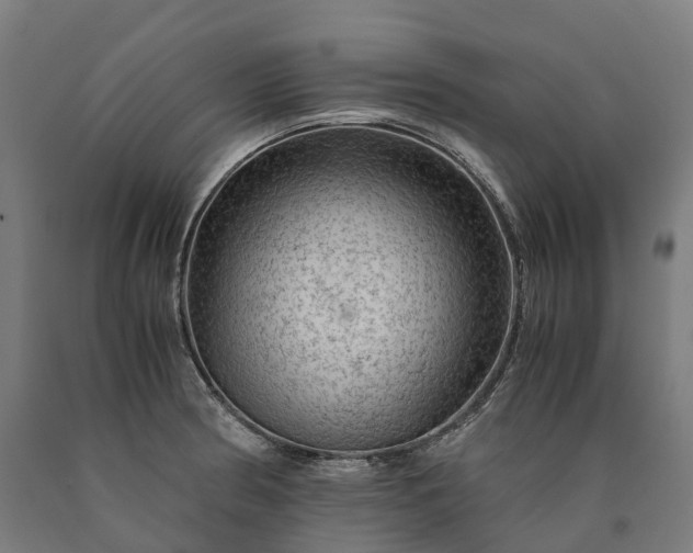 X0000090601186200707311155