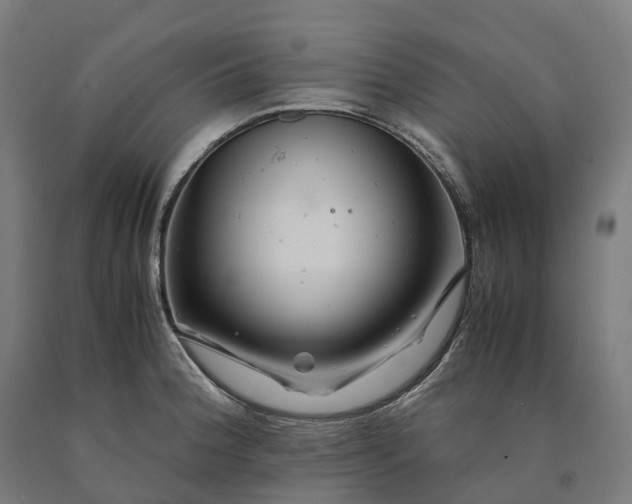 X0000090601188200707311155