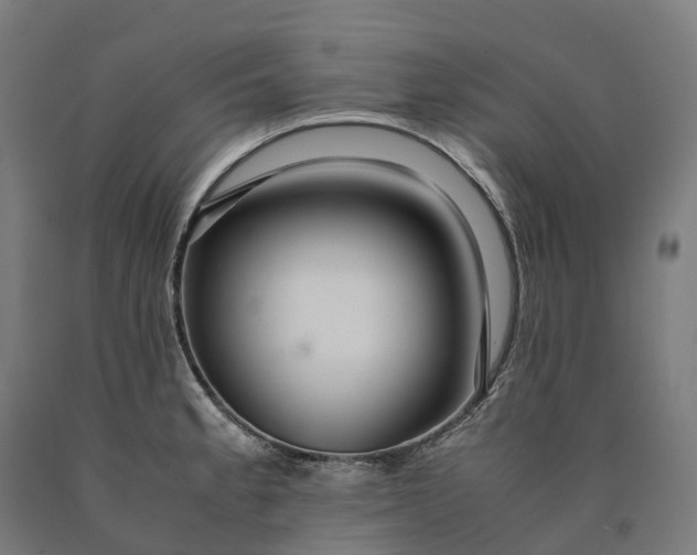 X0000090601189200707311155