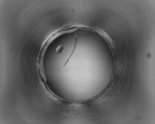 X0000090601190200707311155