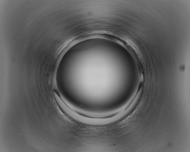 X0000090601193200707311155