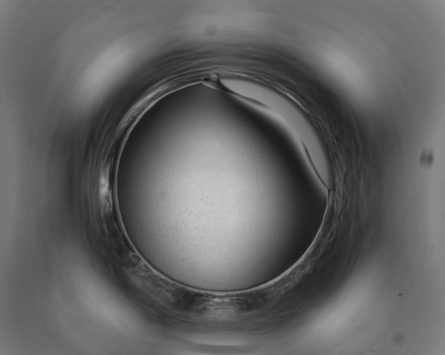 X0000090601198200707311155