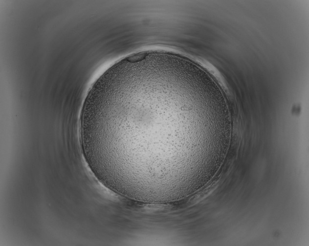 X0000090601199200707311155