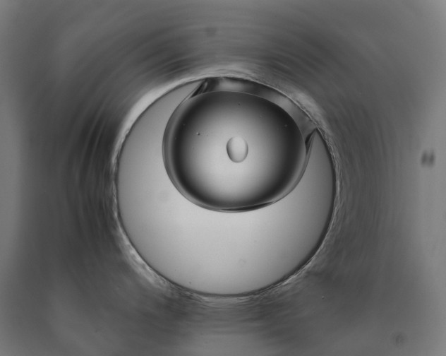 X0000090601200200707311155