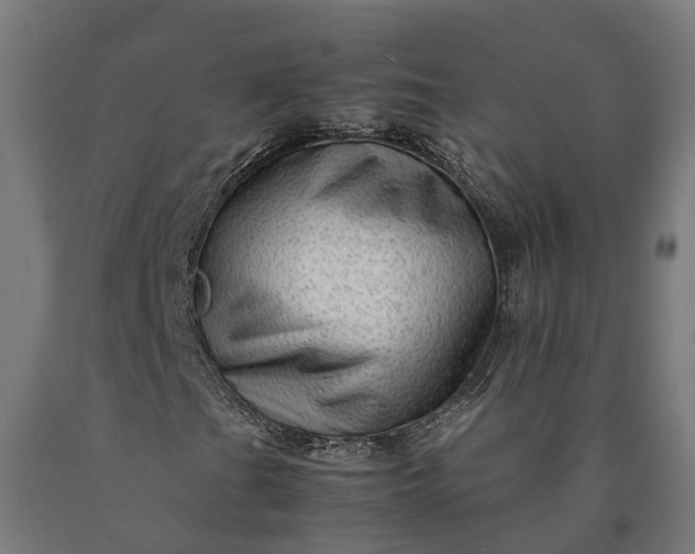 X0000090601201200707311154