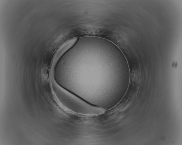 X0000090601202200707311154