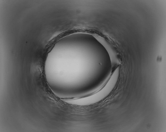 X0000090601206200707311154