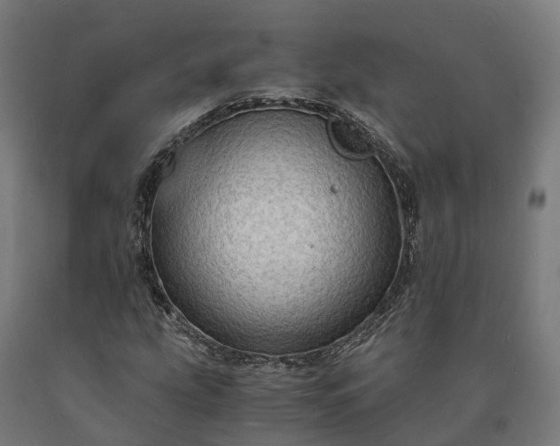 X0000090601207200707311154