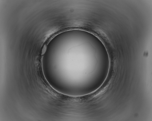 X0000090601210200707311154