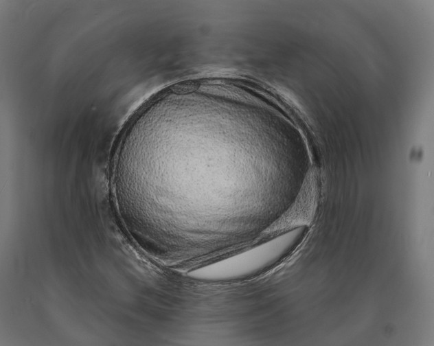 X0000090601212200707311154