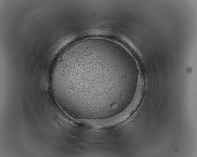 X0000090601213200707311154