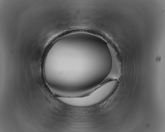 X0000090601214200707311154