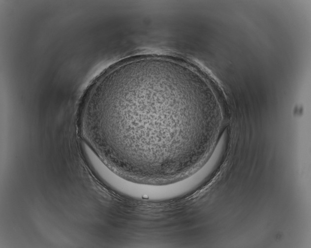 X0000090601215200707311154