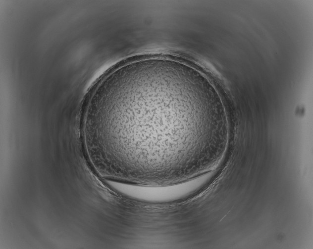 X0000090601216200707311154