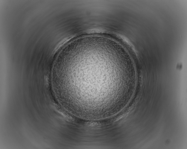 X0000090601217200707311154