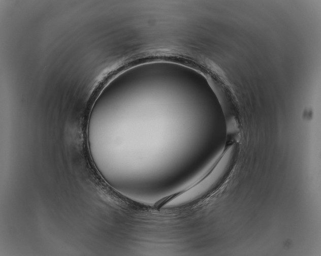 X0000090601218200707311154