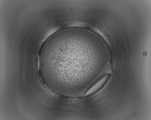 X0000090601219200707311154