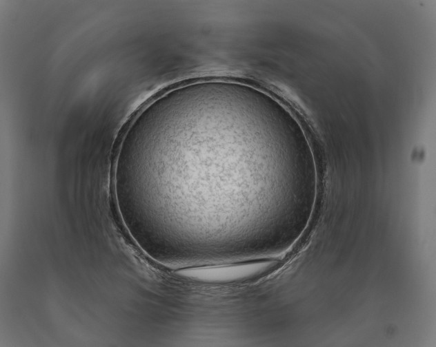 X0000090601220200707311154